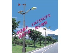 風光互補太陽能路燈FGD-33