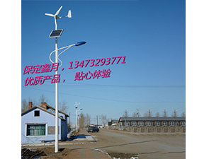 風光互補太陽能路燈FGD-32