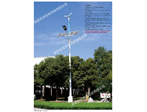 風光互補太陽能路燈FGD-30